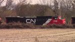 CN 2196